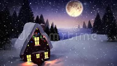 夜间积雪覆盖冬季景色的视频构图